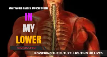 Lower Back Muscle Spasms: Causes, Triggers, and Relief Strategies