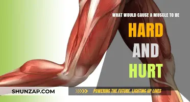 Why Your Muscle Feels Hard and Painful: Common Causes Explained