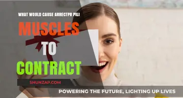 Understanding Arrectores Pili Muscle Contractions: Causes and Triggers Explained