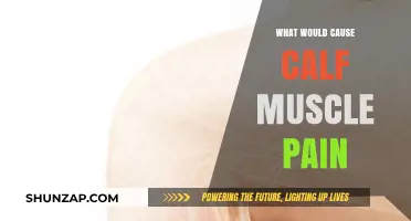 Understanding Calf Muscle Pain: Common Causes and Effective Remedies