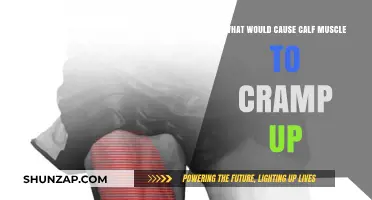 Calf Muscle Cramps: Causes, Prevention, and Quick Relief Tips