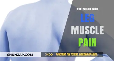 Understanding Leg Muscle Pain: Common Causes and Effective Remedies