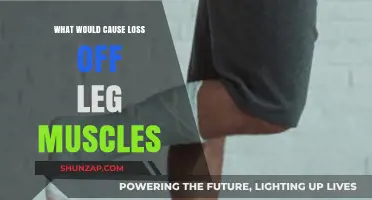 Understanding Causes of Leg Muscle Loss: Key Factors and Prevention Tips