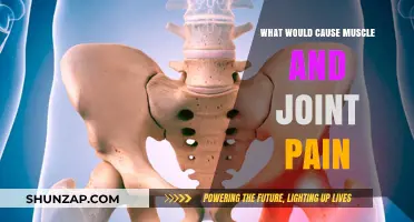Understanding Muscle and Joint Pain: Common Causes and Triggers