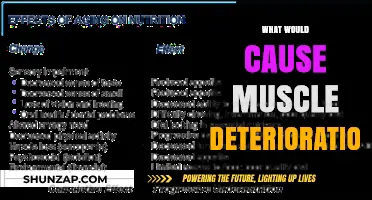 Understanding Muscle Deterioration: Causes, Risk Factors, and Prevention Strategies