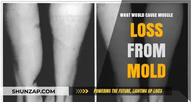 Mold Exposure and Muscle Loss: Uncovering the Hidden Health Risks