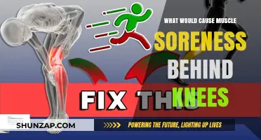 Understanding Causes of Muscle Soreness Behind Knees: Prevention and Relief