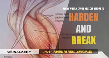 Understanding Muscle Hardening and Rupture: Causes and Prevention Strategies