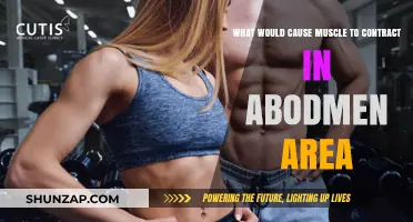 Understanding Abdominal Muscle Contractions: Causes and Triggers Explained
