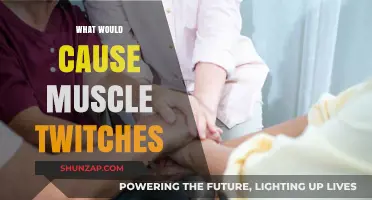 Understanding Muscle Twitches: Causes, Triggers, and When to Seek Help