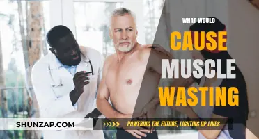 Understanding Muscle Wasting: Causes, Symptoms, and Prevention Strategies
