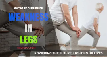 Understanding Leg Muscle Weakness: Causes, Symptoms, and Treatment Options