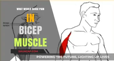 Bicep Muscle Pain: Common Causes and Effective Relief Strategies