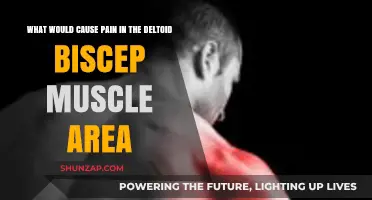 Deltoid Biceps Pain: Causes and Solutions for Shoulder Discomfort