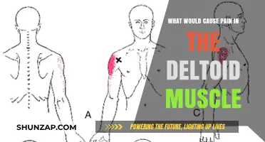 Deltoid Muscle Pain: Common Causes and Effective Relief Strategies