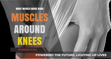 Understanding Quad Muscle Pain Around Knees: Causes and Solutions