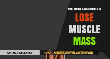 Understanding Muscle Loss in Rabbits: Causes and Prevention Tips