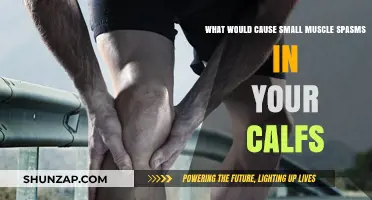 Understanding Causes of Small Calf Muscle Spasms: Common Triggers Explained