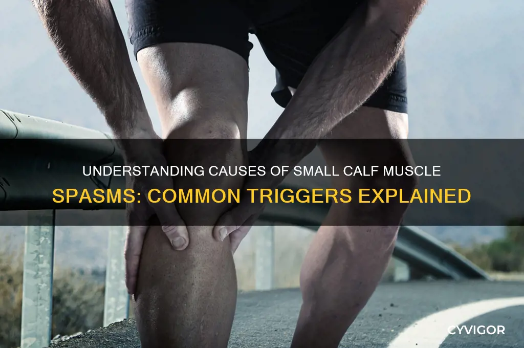 what would cause small muscle spasms in your calfs