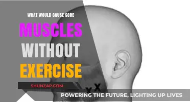 Unexplained Muscle Pain: Causes of Soreness Without Physical Activity
