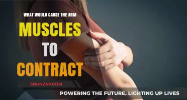 Understanding Arm Muscle Contractions: Causes and Triggers Explained