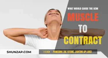 Understanding SCM Muscle Contractions: Causes and Triggers Explained