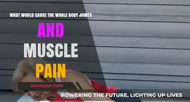 Whole Body Joint and Muscle Pain: Causes and Solutions
