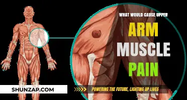Understanding Upper Arm Muscle Pain: Common Causes and Remedies