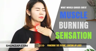 Chest Muscle Burning Sensation: Causes, Symptoms, and Treatment Options