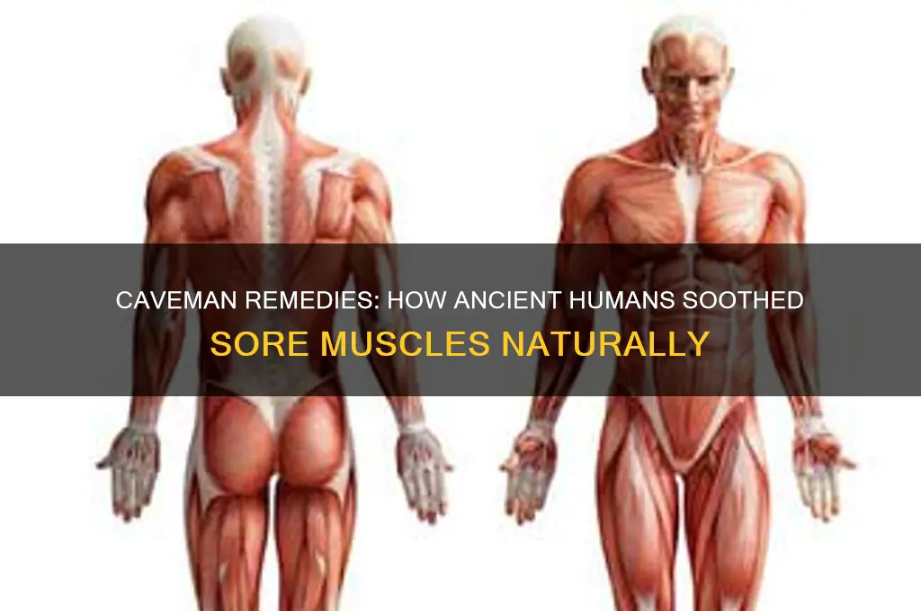 what would cavemen do about sore muscles
