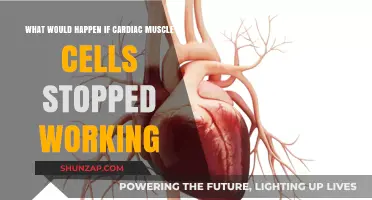 Heart Failure: The Devastating Consequences of Cardiac Muscle Cell Shutdown