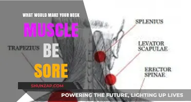 Why Your Neck Muscles Are Sore: Common Causes and Remedies