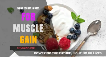 Best Yogurt for Muscle Gain: Top Picks and Benefits
