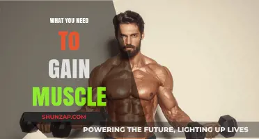 Essential Steps to Build Muscle: Nutrition, Training, and Recovery Tips