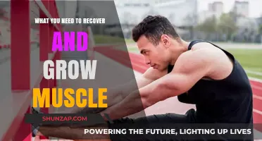 Fuel, Rest, and Repair: Essential Steps for Muscle Recovery and Growth