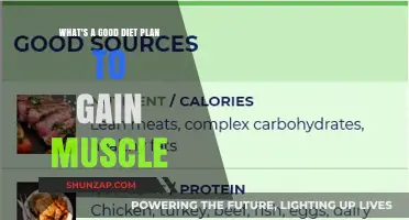 Effective Muscle-Building Diet Plan: Fuel Your Gains with Smart Nutrition