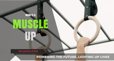 Mastering the Muscle Up: A Beginner's Guide
