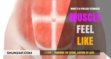 Pulled Stomach Muscle Symptoms: Pain, Tenderness, and Recovery Explained