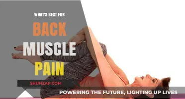 Effective Remedies for Relieving Back Muscle Pain: What Works Best