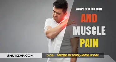 Effective Remedies for Joint and Muscle Pain Relief: What Works Best