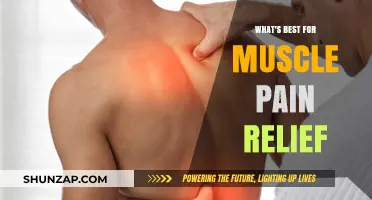 Effective Muscle Pain Relief: Top Remedies and Strategies for Recovery
