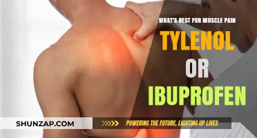 Tylenol vs. Ibuprofen: Which Relieves Muscle Pain Better?
