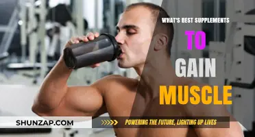 Top Muscle-Building Supplements for Optimal Growth and Strength