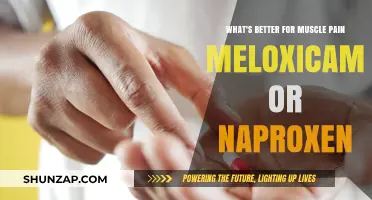 Meloxicam vs. Naproxen: Which Relieves Muscle Pain Better?