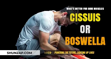 Sore Muscles Relief: Cissus vs. Boswellia – Which Works Best?
