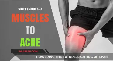 Why Do Calf Muscles Ache? Common Causes and Remedies Explained