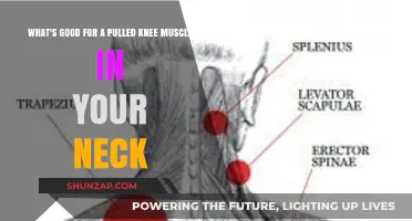 Effective Remedies for Pulled Knee Muscle in Your Neck: Relief Tips