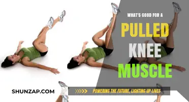 Effective Remedies for Pulled Knee Muscle Recovery and Pain Relief