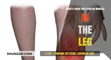 Effective Remedies for Pulled Leg Muscles: Relief and Recovery Tips