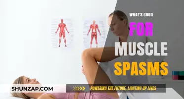 Effective Remedies to Relieve and Prevent Muscle Spasms Naturally